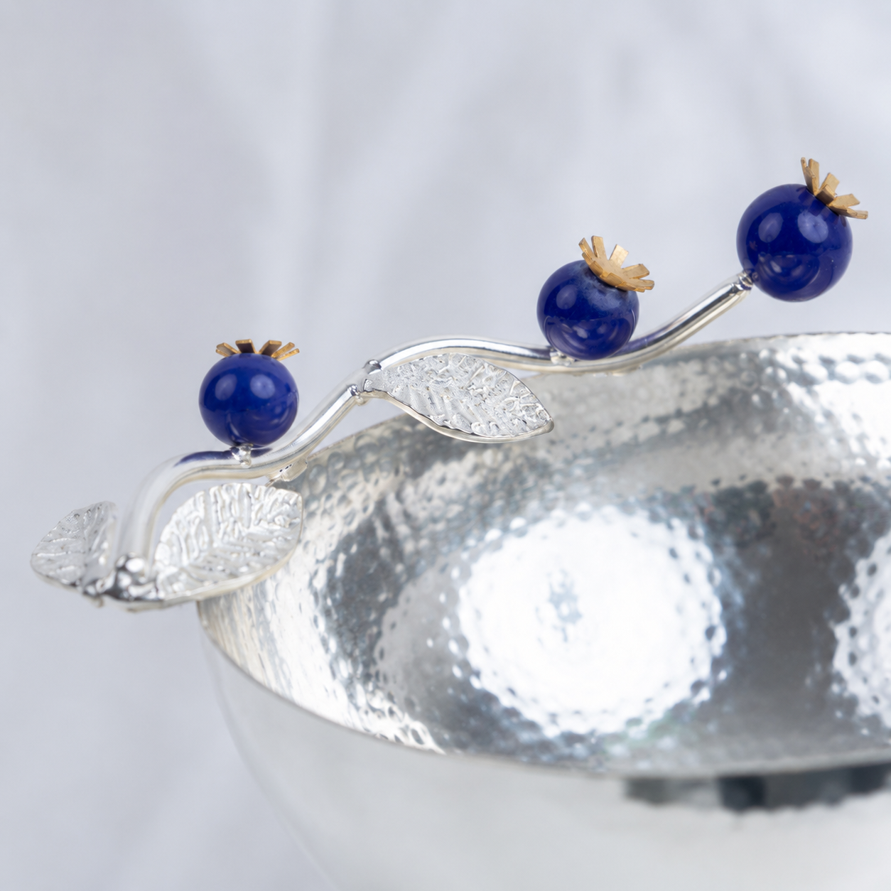 Blueberry Bowl