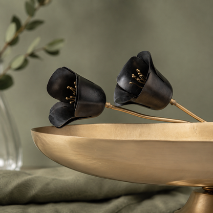 Tulipa Noir Boat
